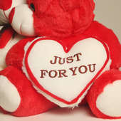 Made for Each Other Valentines Teddy Bear