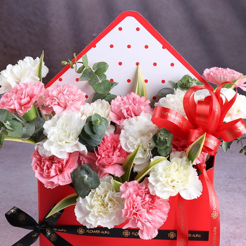 Product Image Video