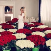 Garden Of Red And White Roses