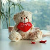 Love Heart Teddy Bear