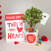 Jade Bonsai Plant and Valentine Greeting Card Combo