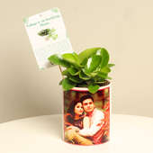 Peperomia Plant With Personalised Vase