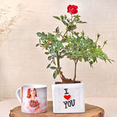 Love Rose Plant N Mug