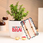 Love You Bhai Jade Plant N Rudraksha Rakhis