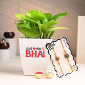 Love You Bhai Money Plant Rakhi