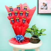 Lovely Money Plant Combo Of Plant And Chocolate Bouquet