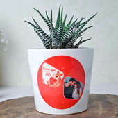 Lovely Personalised Picture Haworthia Plant