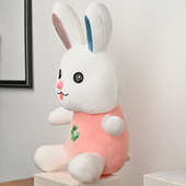 Right Side View of Lovely Pink Bunny Soft Toy