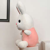 Zoomed View of Lovely Pink Bunny Soft Toy
