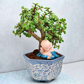 Luck With Bonsai
