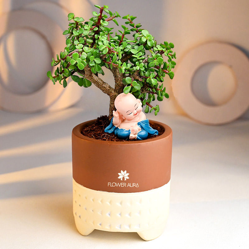 Luck With Bonsai