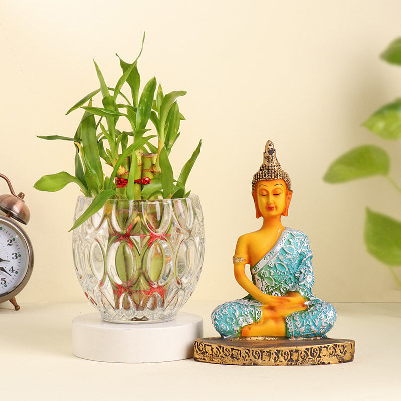 Lucky Bamboo And Blue Buddha Figurine