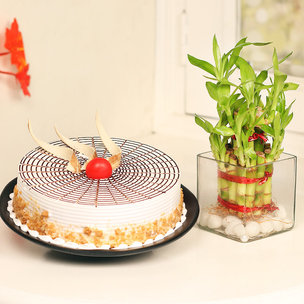 2 Layer Bamboo with Butterscotch Cake Combo