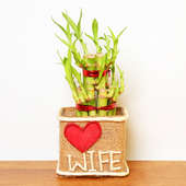 Jute Wrapped Bamboo in Glass Vase for Wife