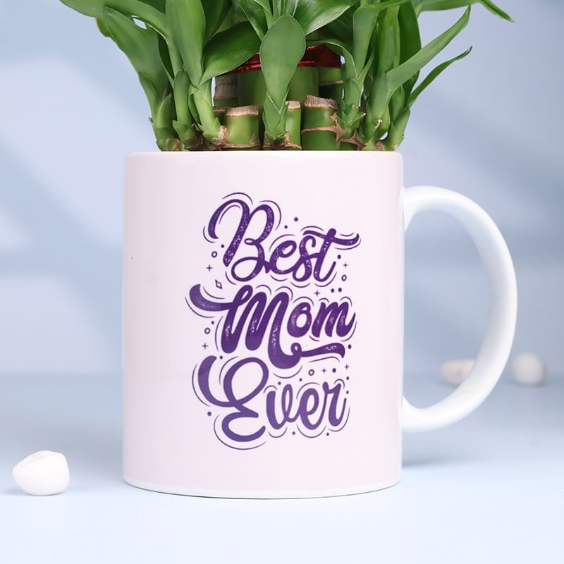 Product Image Video