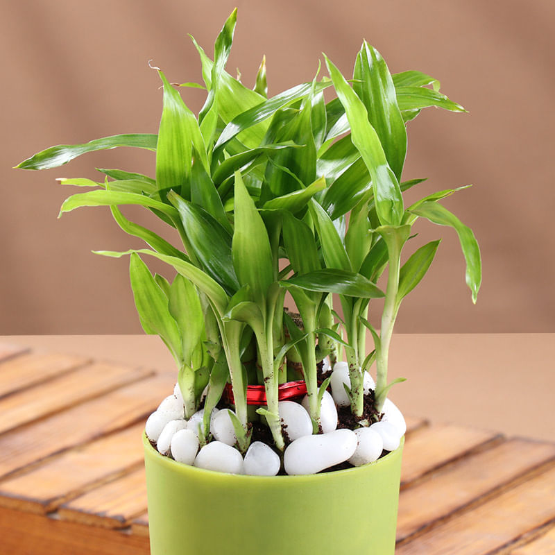Product Image Video