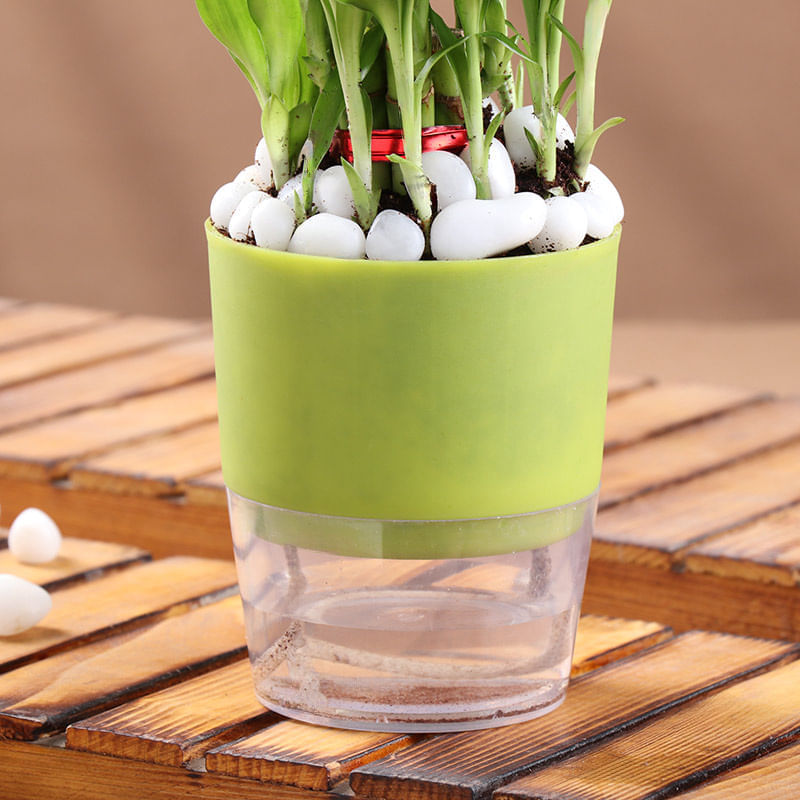 Product Image Video