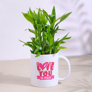 Lucky Bamboo In Love You Mug Lucky Bamboo In Love You Mug