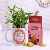 Lucky Bamboo In Mug N Chocolates For Mom