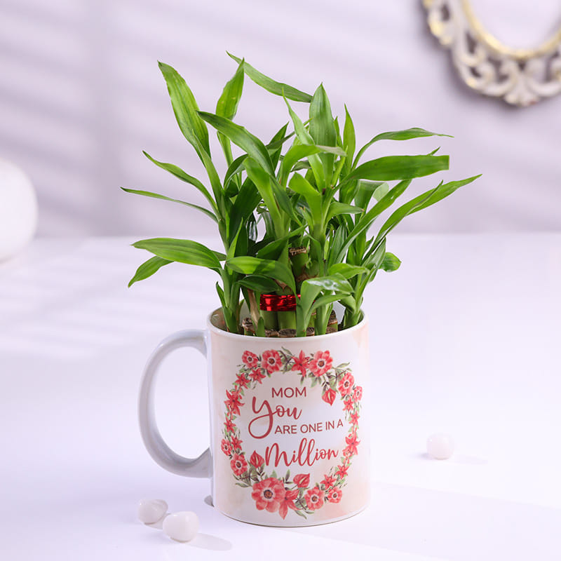 Product Image Video