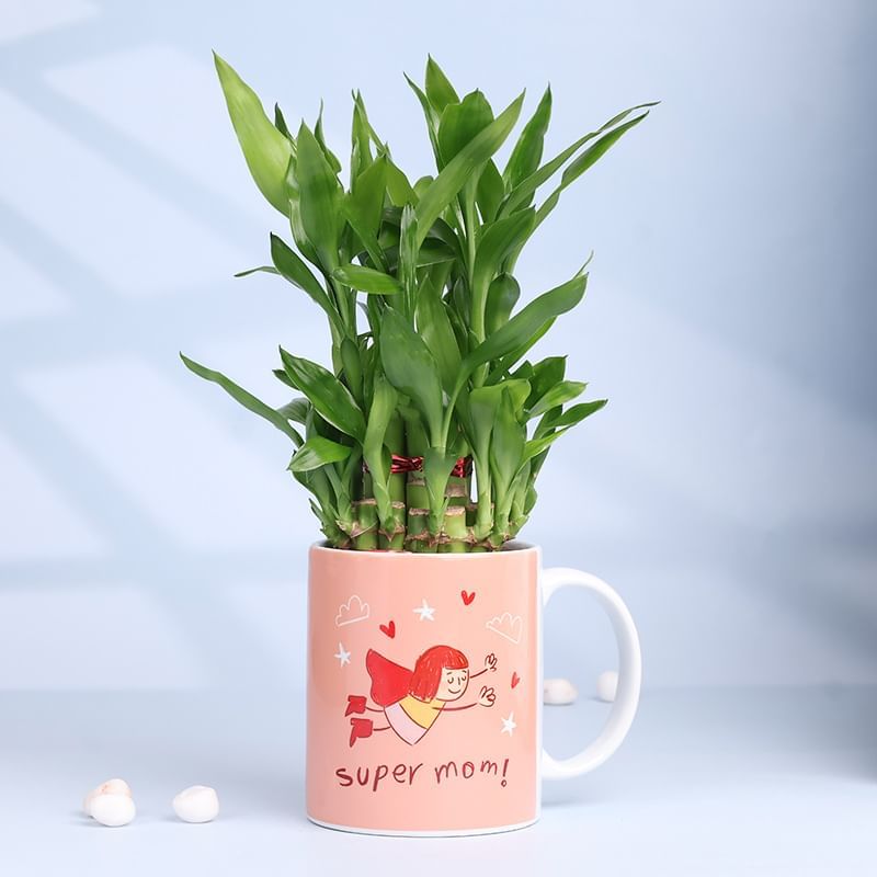 Lucky Bamboo In Super Mom Mug