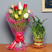 Lucky Bamboo N Roses - Good Luck Plant Indoors in Potouri Vase with Bunch of 10 Mixed Roses