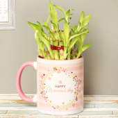 2 Layer Lucky Bamboo Womens Day Plant