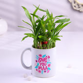 Lucky Bamboo Plant in Love U Maa Mug