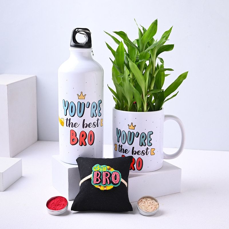 Lucky Bamboo Plant In Mug Pot N Bro Rakhi