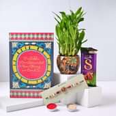 Lucky Bamboo Plant In Rangoli Pot Choco N Flower Rakhi