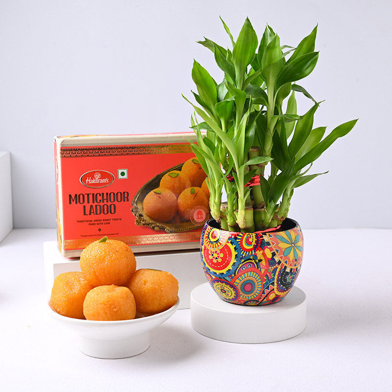 Product Image Video
