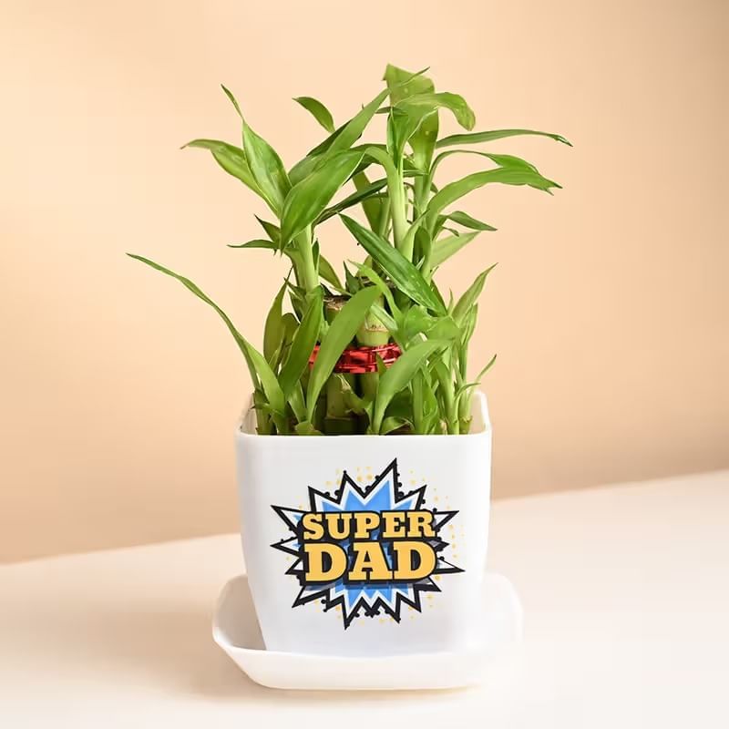 Product Image Video
