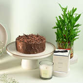 Lucky Bamboo Plant With Chocolate Cake N Scented Candle