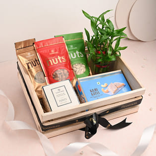 Lucky Bamboo Plant With Dry Fruits Kaju Katli N Candle