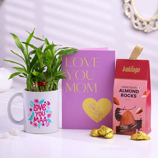 Lucky Bamboo Plant With Love Mom Card N Choco