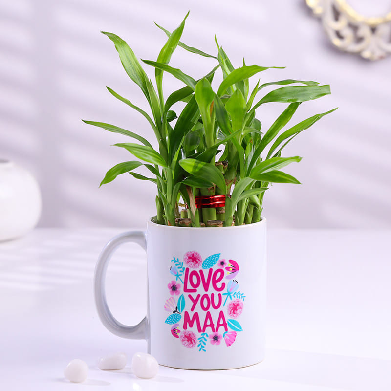 Product Image Video