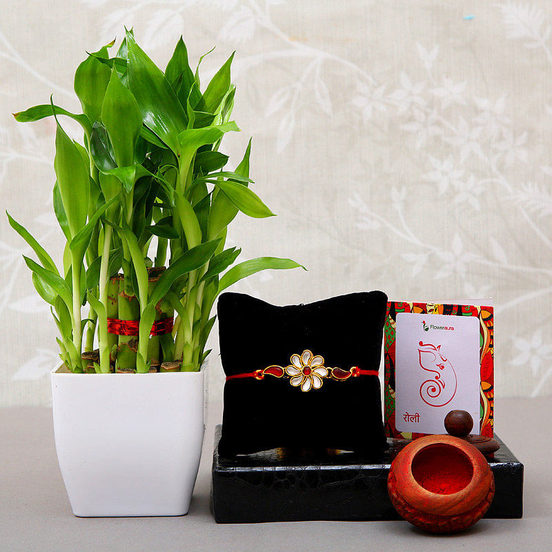 Lucky Bamboo Rakhi Combo