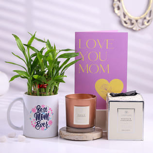 Lucky Bamboo With Love You Mom Card N Candle