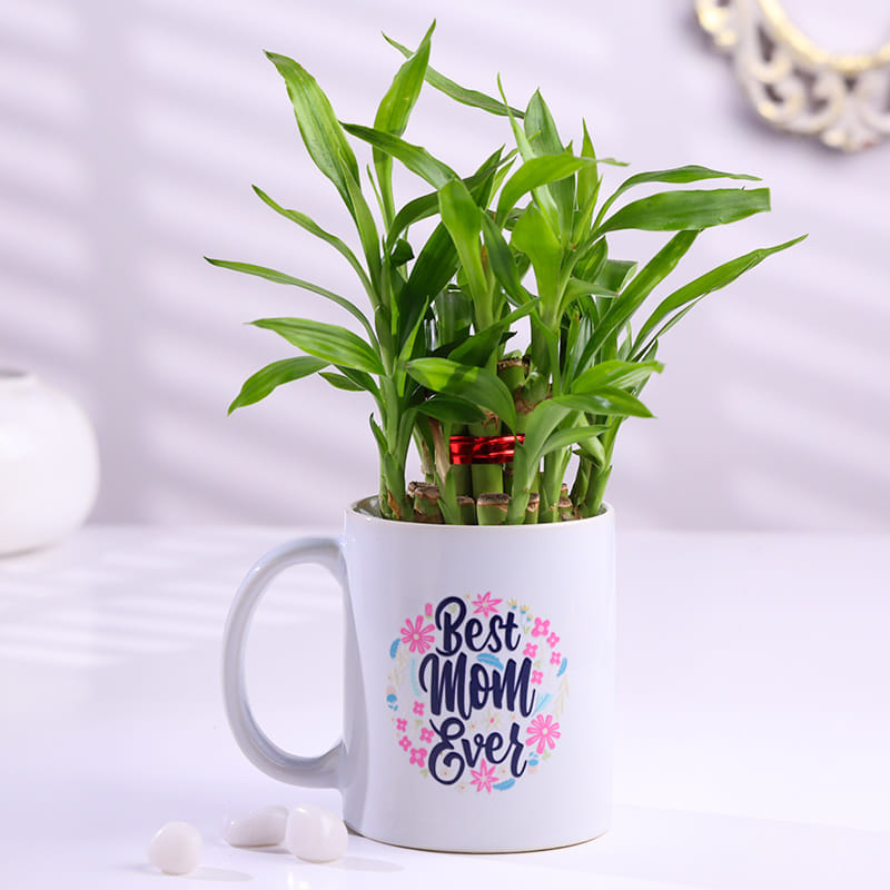 Product Image Video