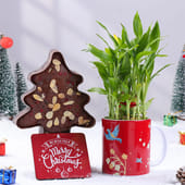 Lucky Bamboo With Plum Cake N Xmas Coaster