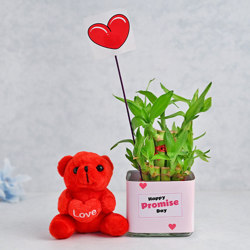 Lucky In Love Bamboo Combo