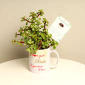 Valentine Day Jade Plant Gift With Personalise Mug