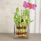 2 Layer Bamboo Plant For Your Love