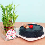 Valentine Special Cake with 2 Layer Bamboo Plant