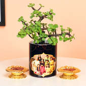 Lucky Luck Jade Plant - Succulent Plant Outdoors in Mug Personalized Vase with Set of 2 Diyas