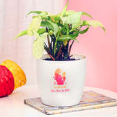 Syngonium Plant in a Vase for Mom