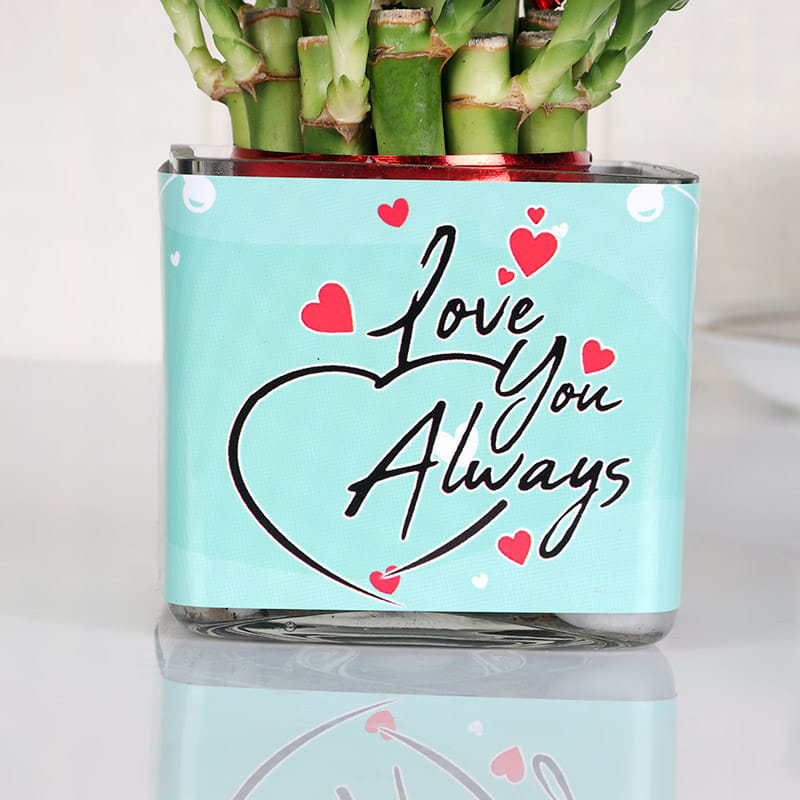 Buy Lucky Valentines Plant