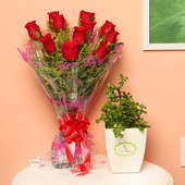 Luscious Joy - Succulent and Cactus Plants Outdoors in Floweraura Chatura Vase with Bunch of 10 Red Roses