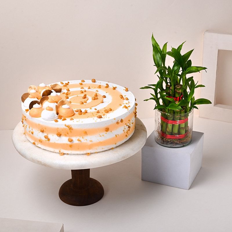 Lush Lucky Bamboo N Butterscotch Cake