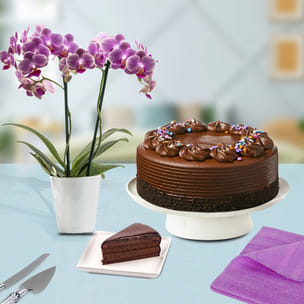 Lush Orchid Temptation